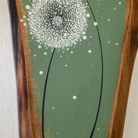 Large Dandelion Sage Green Live Edge Wood
