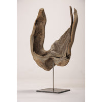 Drift Wood Sculpture 1-Natural Beauty