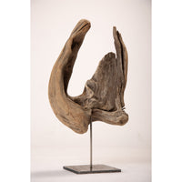 Drift Wood Sculpture 1-Natural Beauty