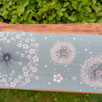 XXL Cow Parsley, Wild Flower Soft Turquoise Blue Live Edge Wood