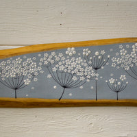 X.L Cow Parsley Light Sea Blue Live Edge Wood