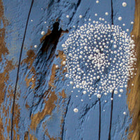 X.L Dandelion Sky Blue Chunky Reclaimed Wood