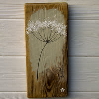 Small Cow Parsley fine flower head olive green reclaimed wood
