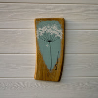 Small Cow Parsley fine flower head soft turquoise blue live edge wood