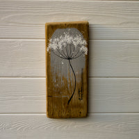 Small Cow Parsley fine flower head light grey reclaimed wood