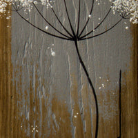 Small Cow Parsley fine flower head light grey reclaimed wood