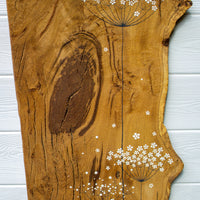 Large Cow Parsley Large Flower head Natural Live Edge Wood