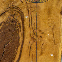 Large Cow Parsley Large Flower head Natural Live Edge Wood
