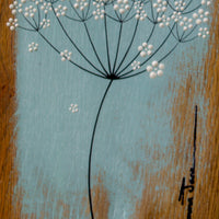 Small Cow Parsley large flower head soft sky blue live edge wood