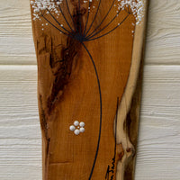 Small Cow Parsley fine flower head natural live edge wood