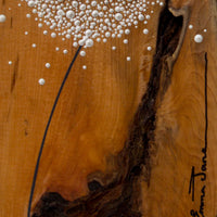 Small Dandelion head natural live edge wood