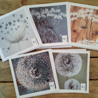 emma jane collection Greetings Cards
