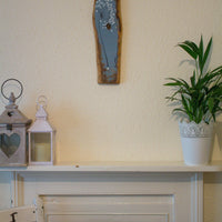 Small cow parsley large flower head grey blue reclaimed wood painting