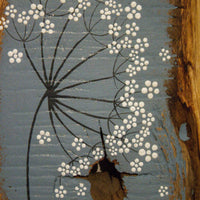 Small cow parsley large flower head grey blue reclaimed wood painting closer up