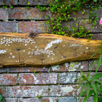 XXL Cow Parsley natural live edge wood painting outside close up