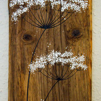 Large Cow Parsley large flower heads natural reclaimed wood painting closer up