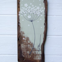 Medium Cow Parsley Large Flower head Soft Olive Green Reclaimed Wood