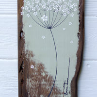Medium Cow Parsley Large Flower head Soft Olive Green Reclaimed Wood