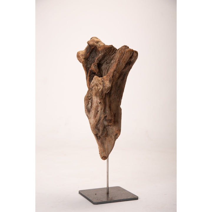 Drift Wood Sculpture 2-Weathered Beauty