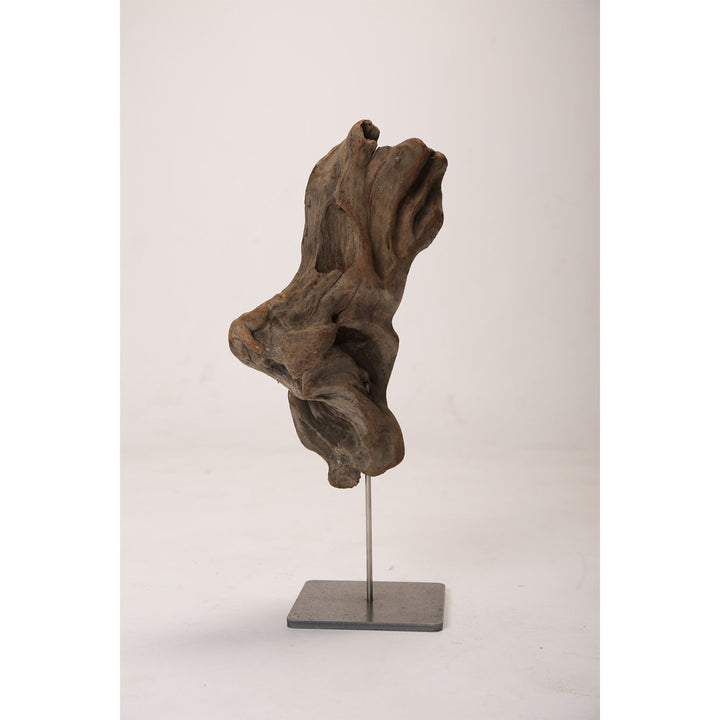 Drift Wood Sculpture 3- Organic Beauty