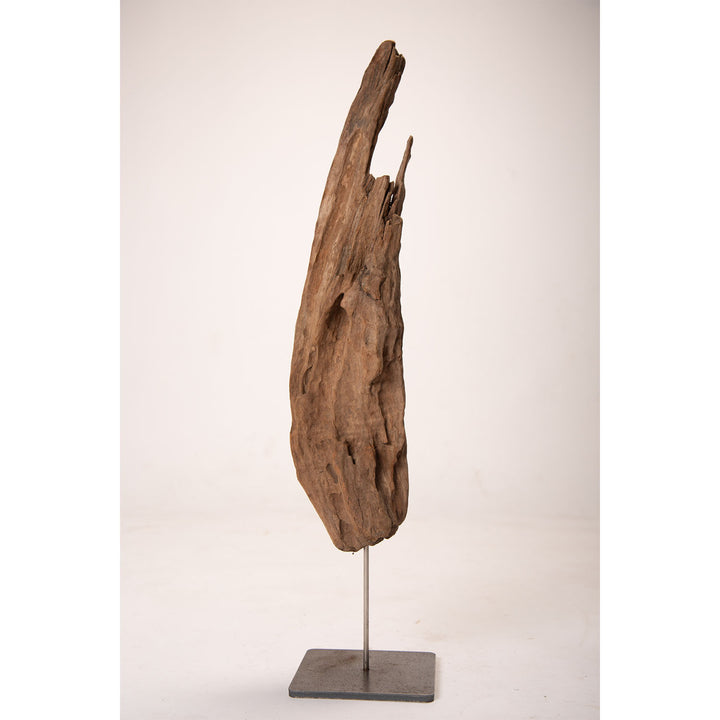 Drift Wood Sculpture 7-Timeless Beauty