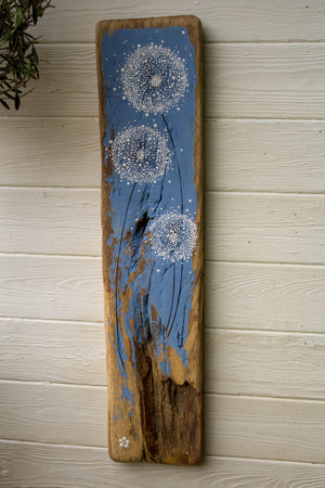 X.L Dandelion Sky Blue Chunky Reclaimed Wood