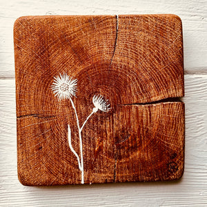 Natural Wall Tiles-Mix and Match