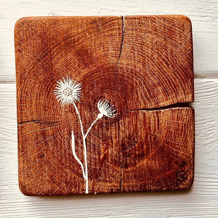 Natural Wall Tiles-Mix and Match