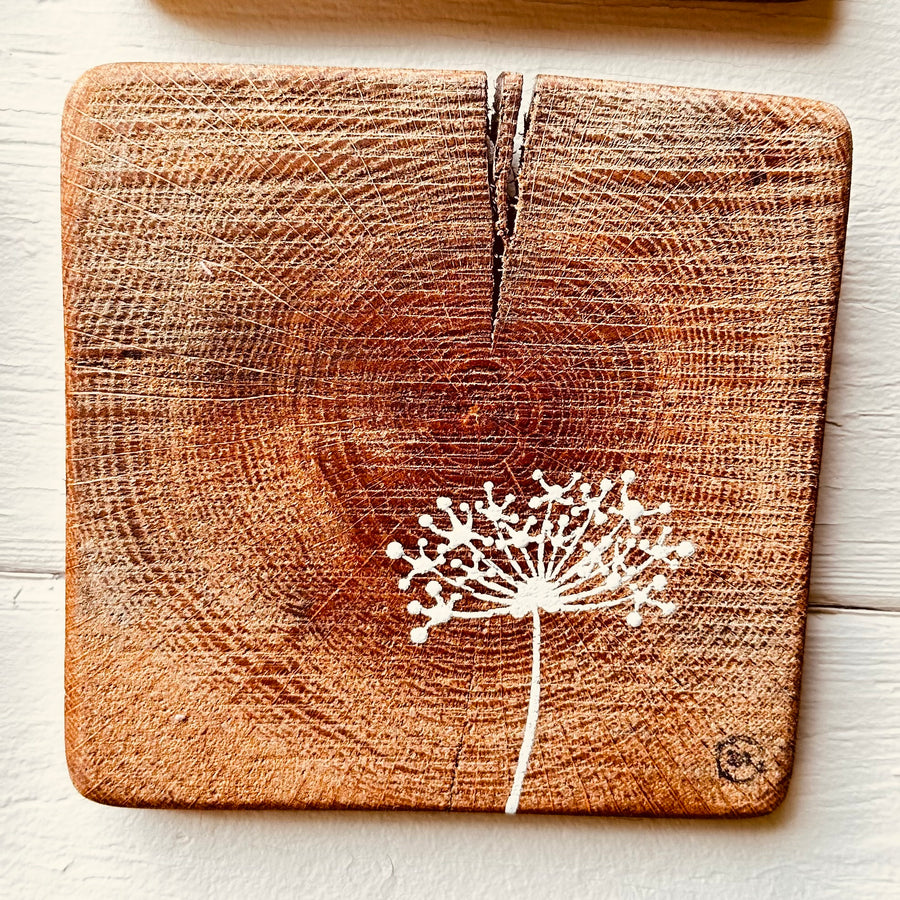 Natural Wall Tiles-Mix and Match