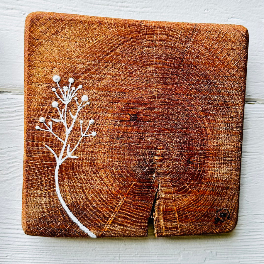 Natural Wall Tiles-Mix and Match