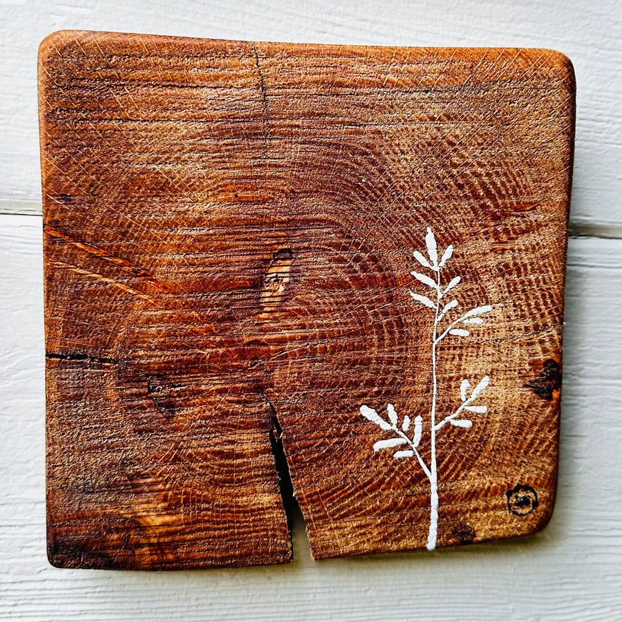 Natural Wall Tiles-Mix and Match