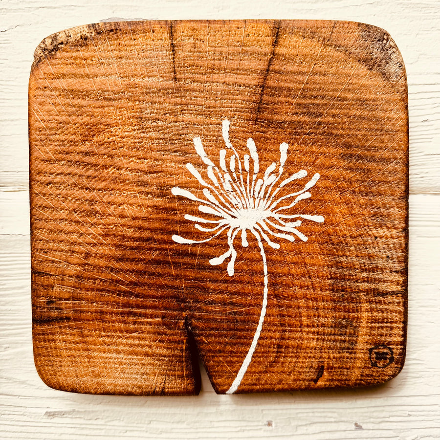 Natural Wall Tiles-Mix and Match