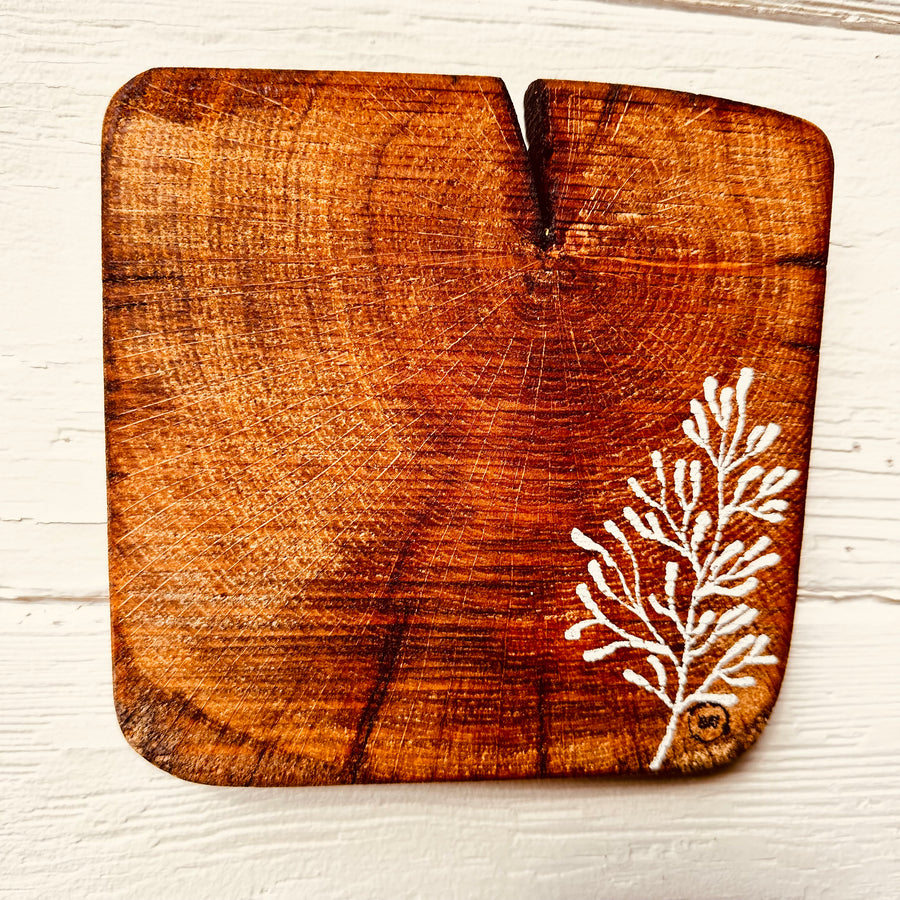Natural Wall Tiles-Mix and Match