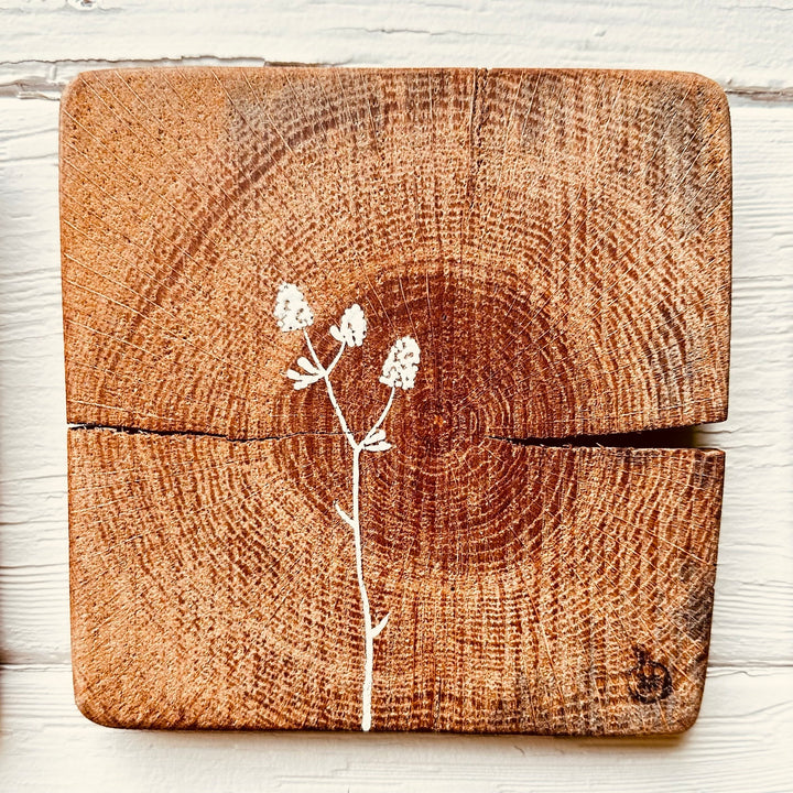 Natural Wall Tiles-Mix and Match