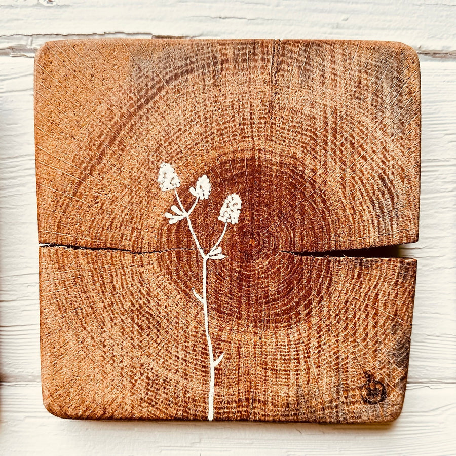 Natural Wall Tiles-Mix and Match