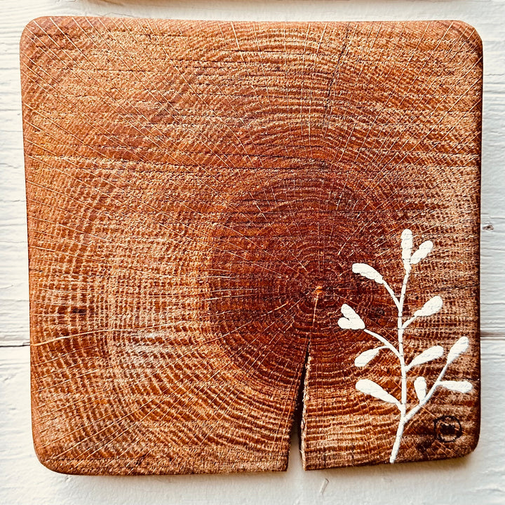 Natural Wall Tiles-Mix and Match