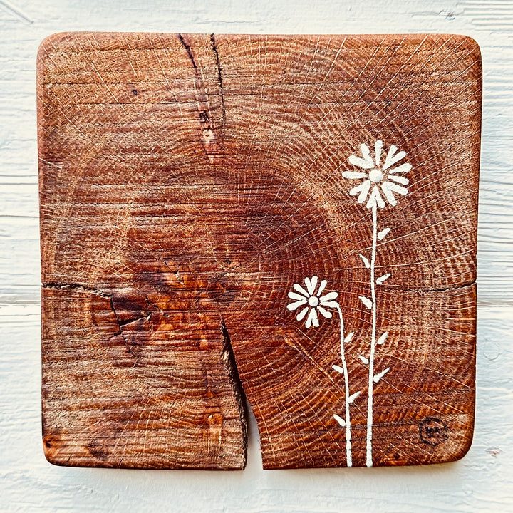 Natural Wall Tiles-Mix and Match