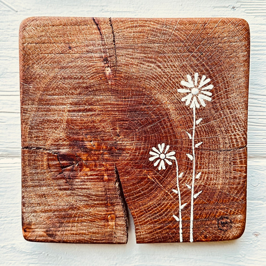 Natural Wall Tiles-Mix and Match