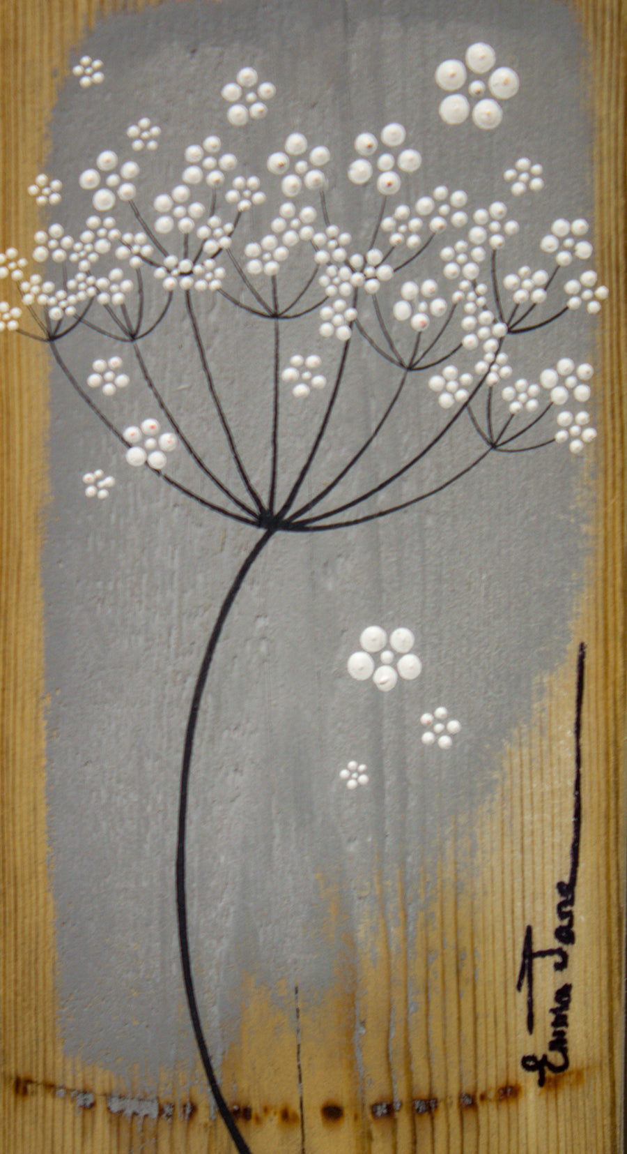 Small Cow Parsley large flower head slate grey reclaimed wood