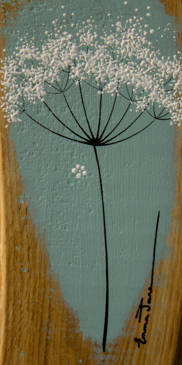 Small Cow Parsley fine flower head soft turquoise blue live edge wood