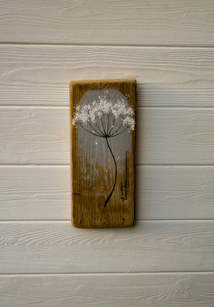 Small Cow Parsley fine flower head light grey reclaimed wood