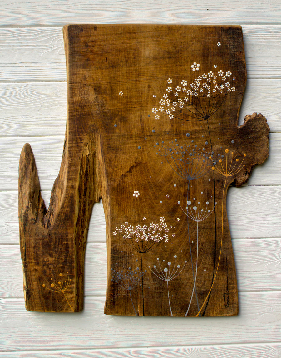 X.L Mixed Cow Parsley Heads Natural Reclaimed Wood