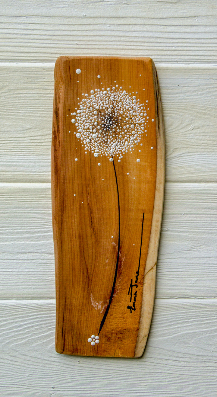 Small Dandelion  head natural live edge wood