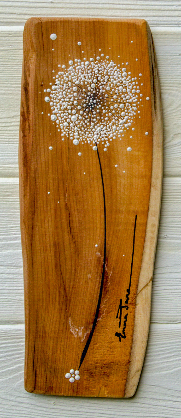 Small Dandelion  head natural live edge wood