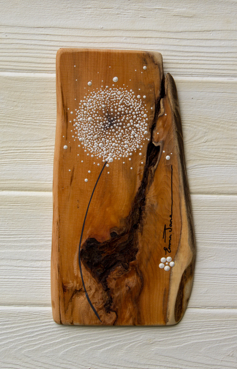 Small Dandelion head natural live edge wood