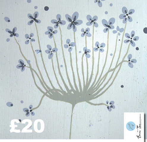 £20 Gift Voucher