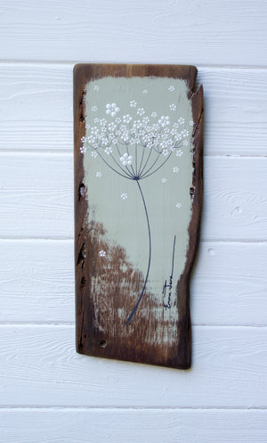 Medium Cow Parsley Large Flower head Soft Olive Green Reclaimed Wood