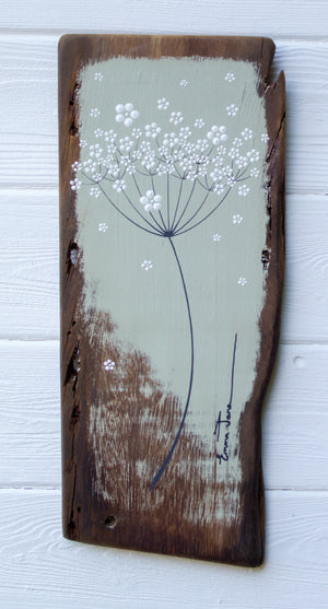 Medium Cow Parsley Large Flower head Soft Olive Green Reclaimed Wood