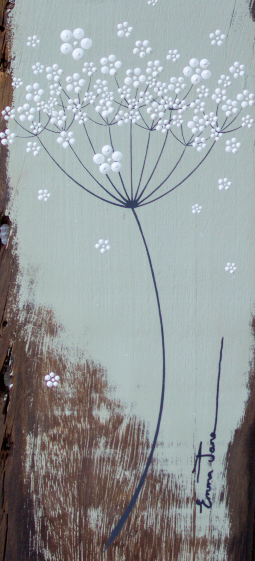 Medium Cow Parsley Large Flower head Soft Olive Green Reclaimed Wood